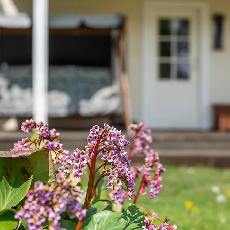 Nordic Bliss House - * Käsmu