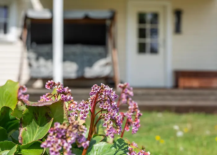 Nordic Bliss House - * Käsmu